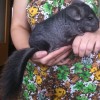 Кирюха