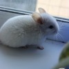 Каспер