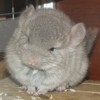 Ная