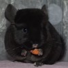 Наоми