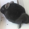 Клим