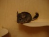 16 мая 2010_новый дом