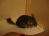 16 мая 2010_новый дом
