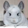 Айна