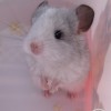Максим