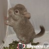 Юхан