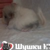 Ягодка