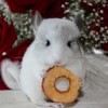 Шим