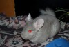 3 goda