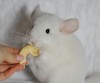 4 мес