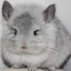 Крисмас