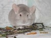 6 мес и неделя
