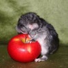 Мила