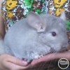 Серафима