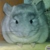 Луна
