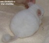 1 мес