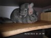 мама Дина и Октябрина (сверху)