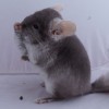 Наум