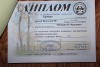 выставка 12 ноября 2016 года