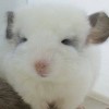 Каспер