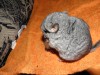 1.5 мес.