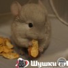 Салим