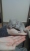 Дилану 2 дня