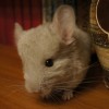 Наф
