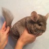 Фанта