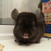 Кузьма
