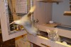 I can fly )))))