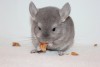 2 мес. 10 дн.