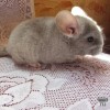 мальчик 4