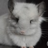 Кубик