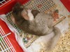 многодетный отец-одиночка