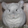 Мальвина