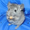 Наф