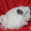 Марианна