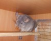 В новом доме первый день