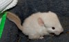 24.06.2015