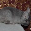 Тайфун
