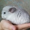 бк
