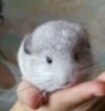 28 дней