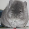 Ефим