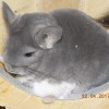 без имени