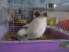 7 месяцев