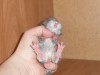 4 часа