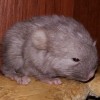 Аркадий