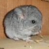 Каен