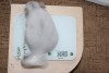 3,5 мес